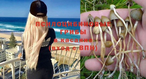каннабис Магадан