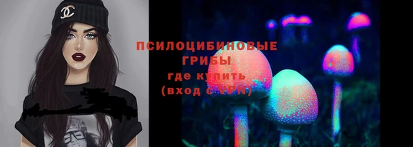 PSILOCYBIN Абдулино